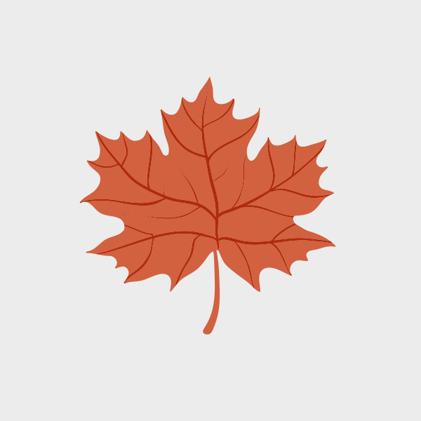 Free Vector of the Day #702: Autumn Maple Leaf Vector