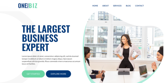 One Page Business Cyberchimps Responsive theme website