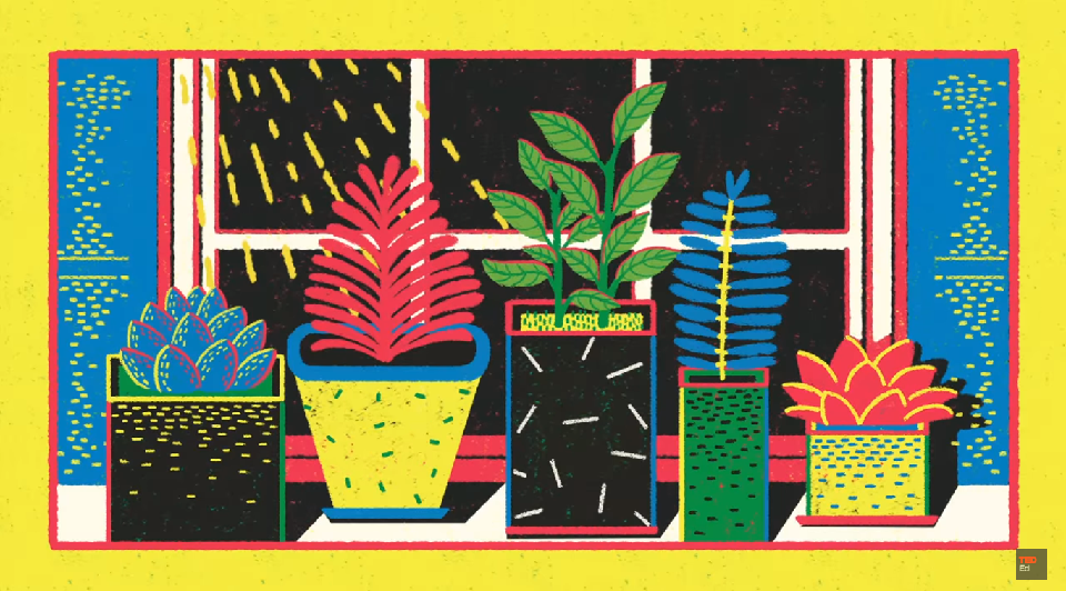 An Animated Lesson of Plant Communication