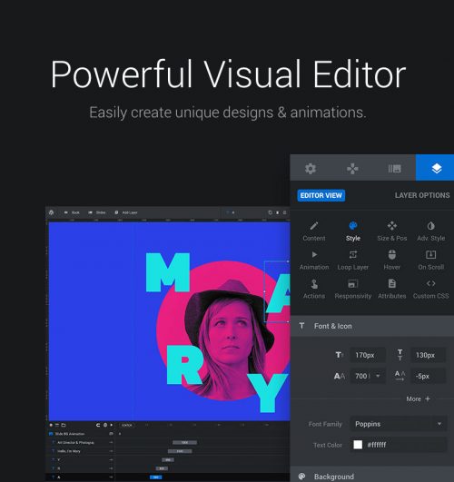 Slider Revolution Responsive WordPress Plugin - A Guide
