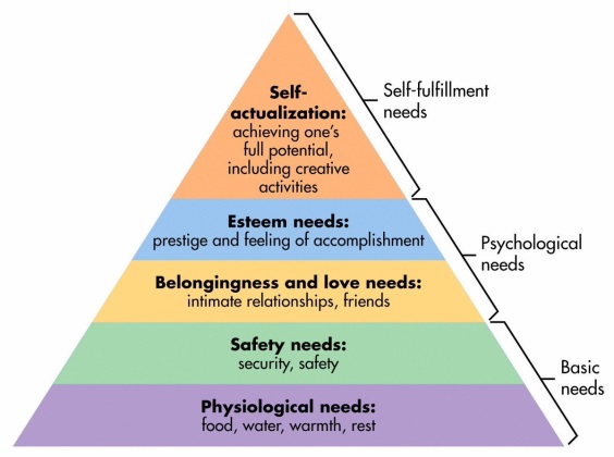 Guide to Psychology Principles 2