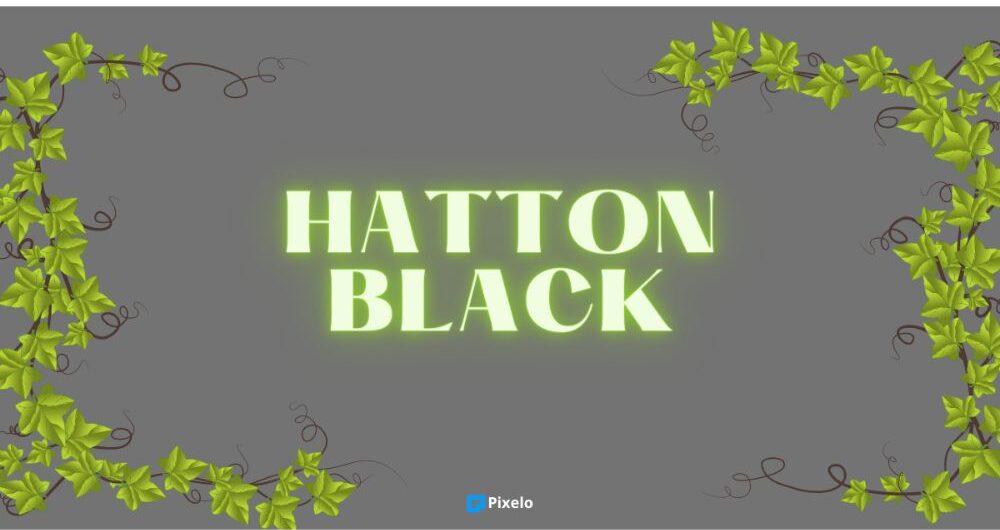 Hatton Black font
