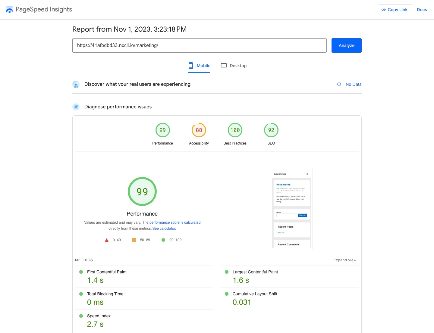 pagespeed insights results