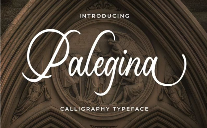 beautiful-fonts-palegina-calligraphy-typeface