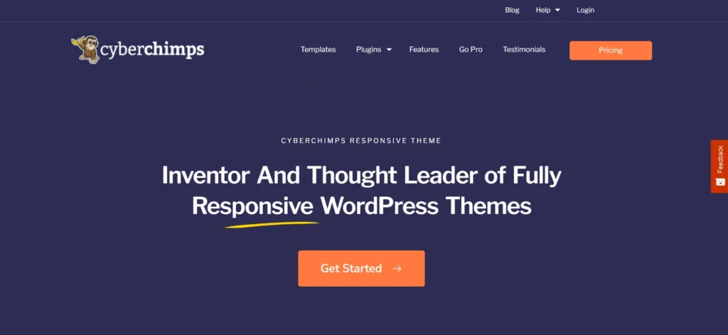 responsive theme