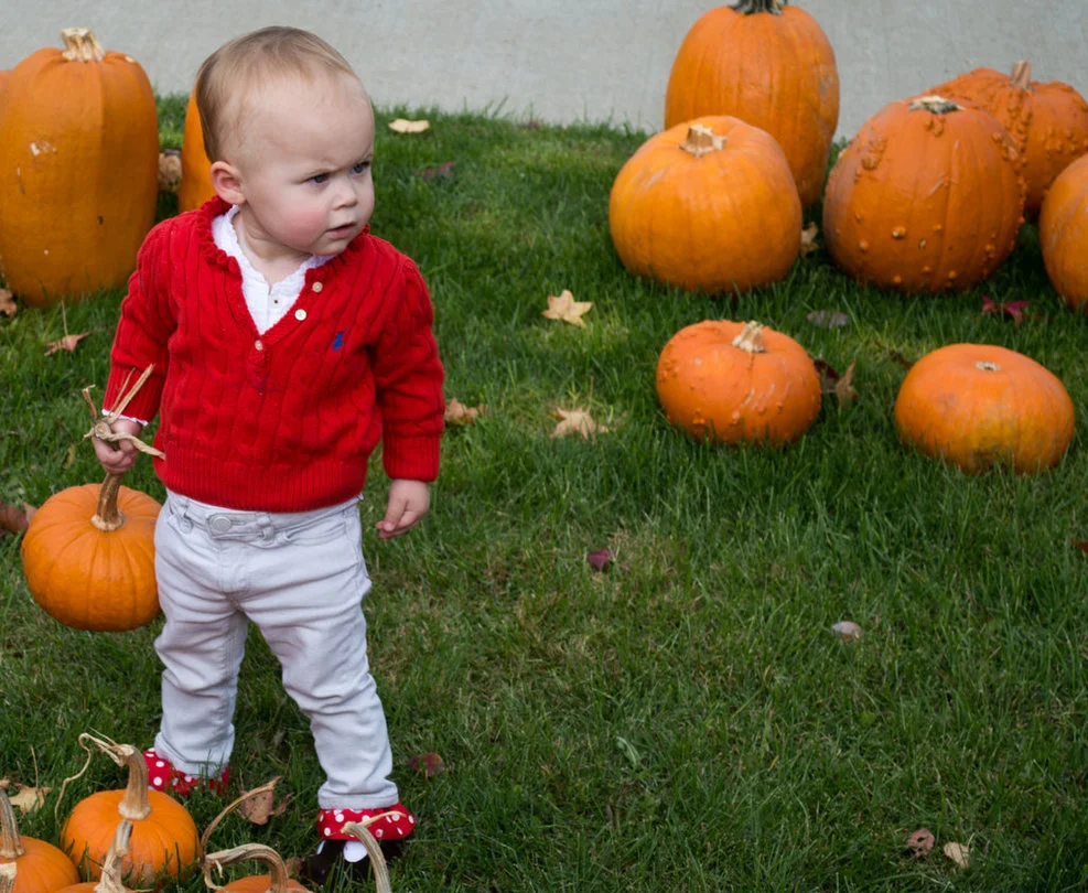 baby standing with a pumpkin in hand