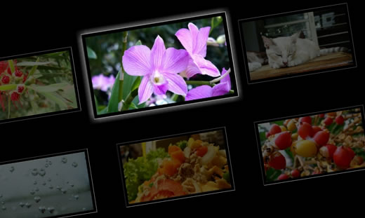 css3 image hover effects