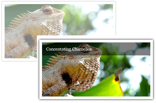 css3 image hover effects