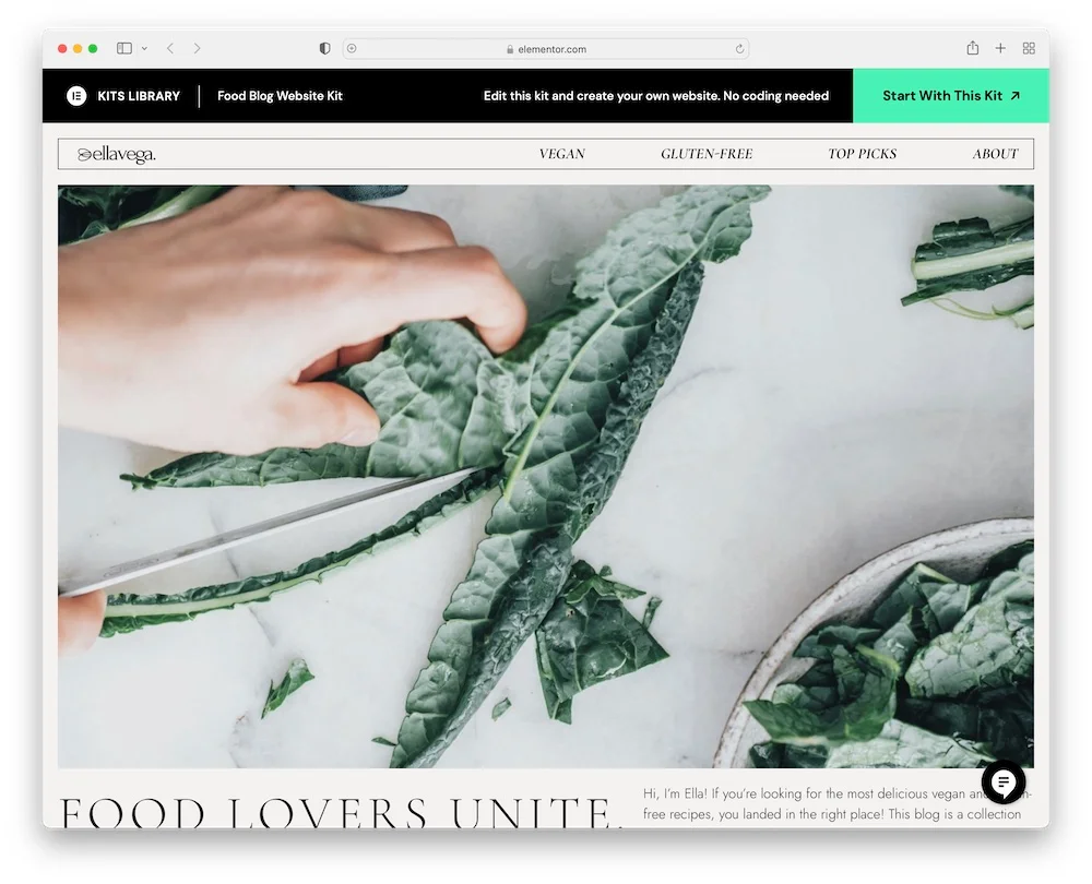 free wordpress themes