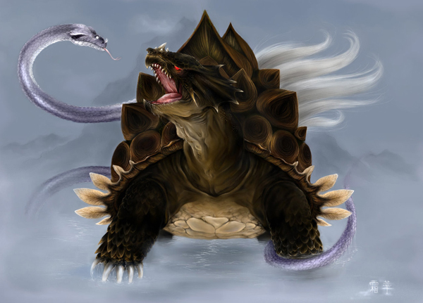 illustration
