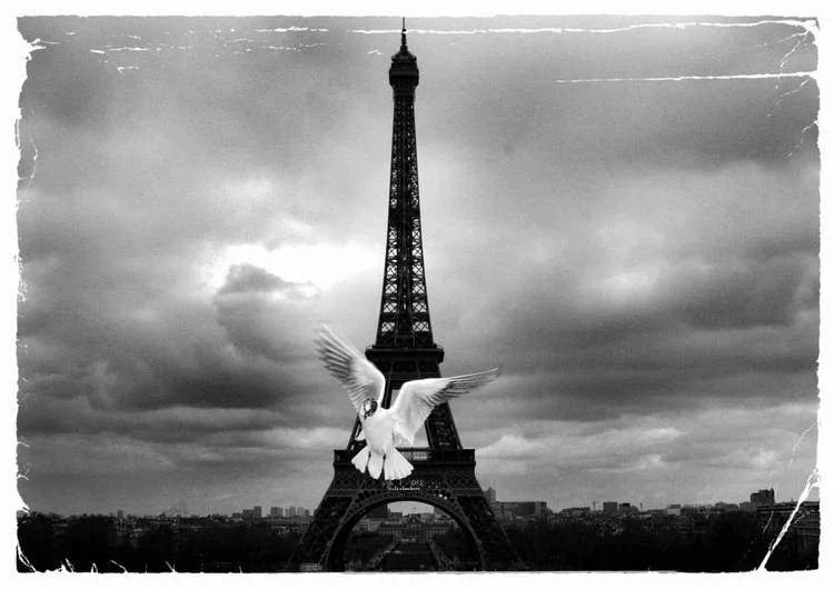 beautiful photos of Paris - Eiffel Tower