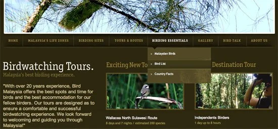 Bird Malaysia homepage