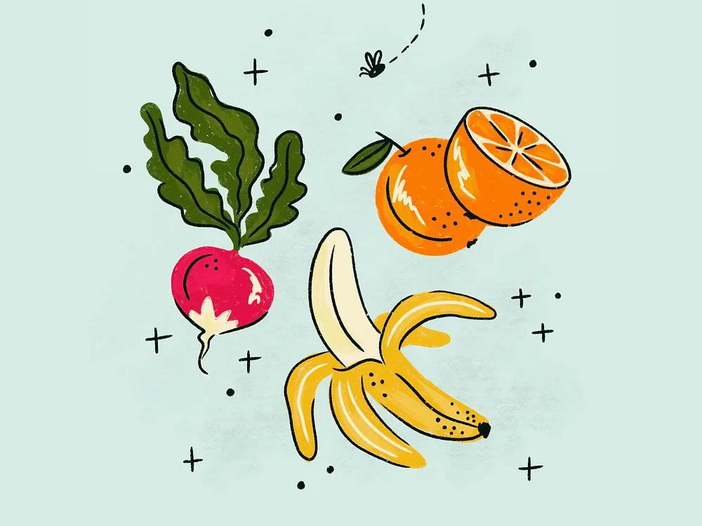 fruits illustration