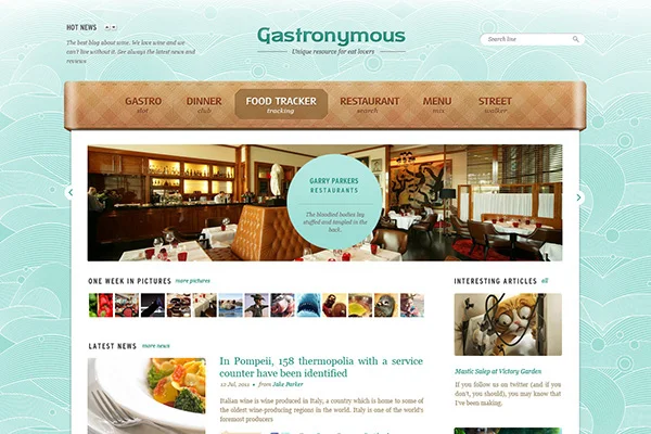 psd website themes