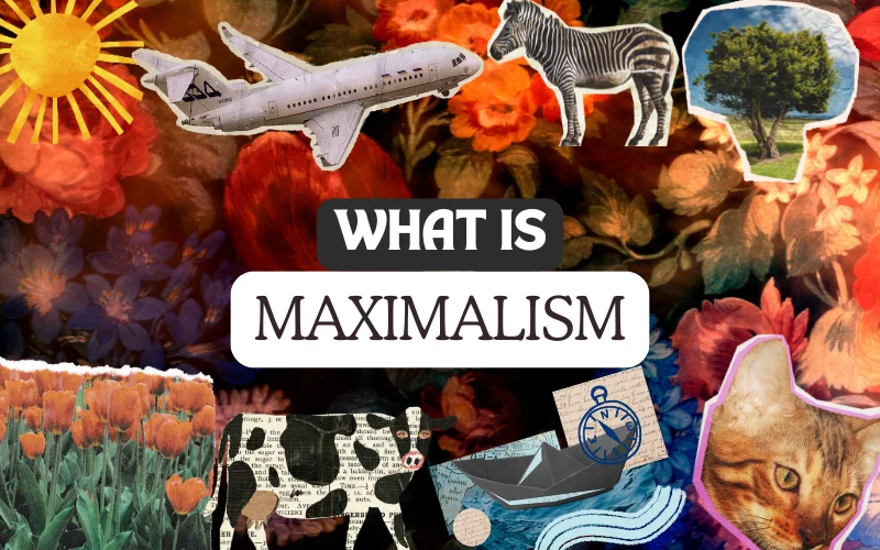 what is maximalism